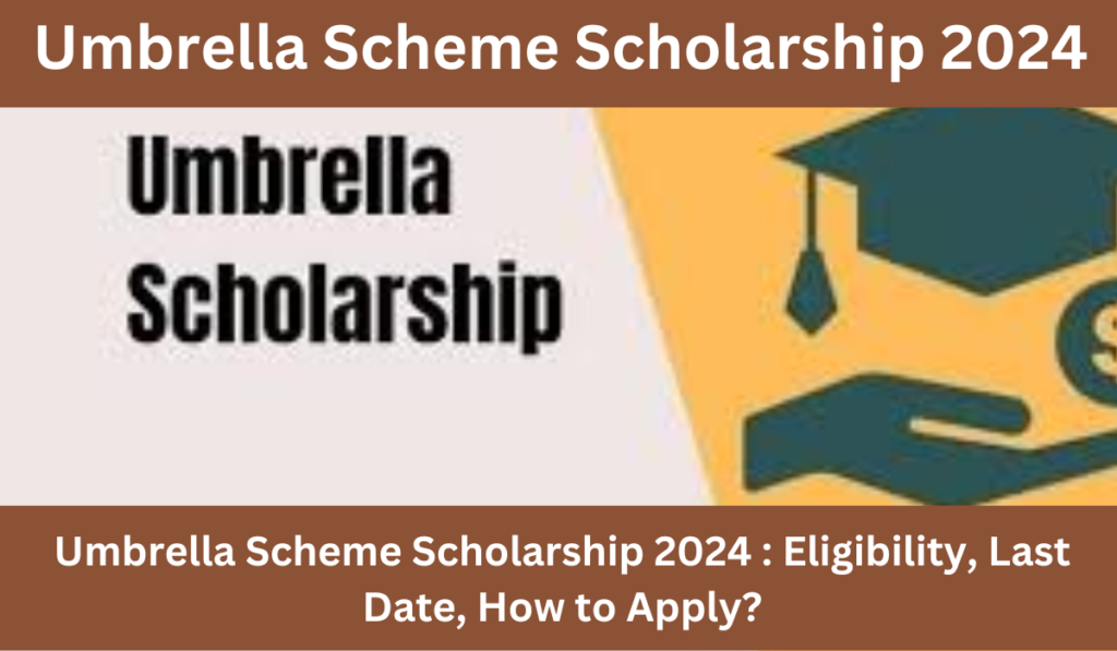 Umbrella Scheme Scholarship 2024 